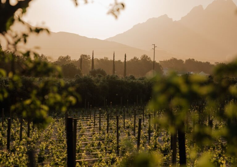 Road trip South Africa Franschhoek