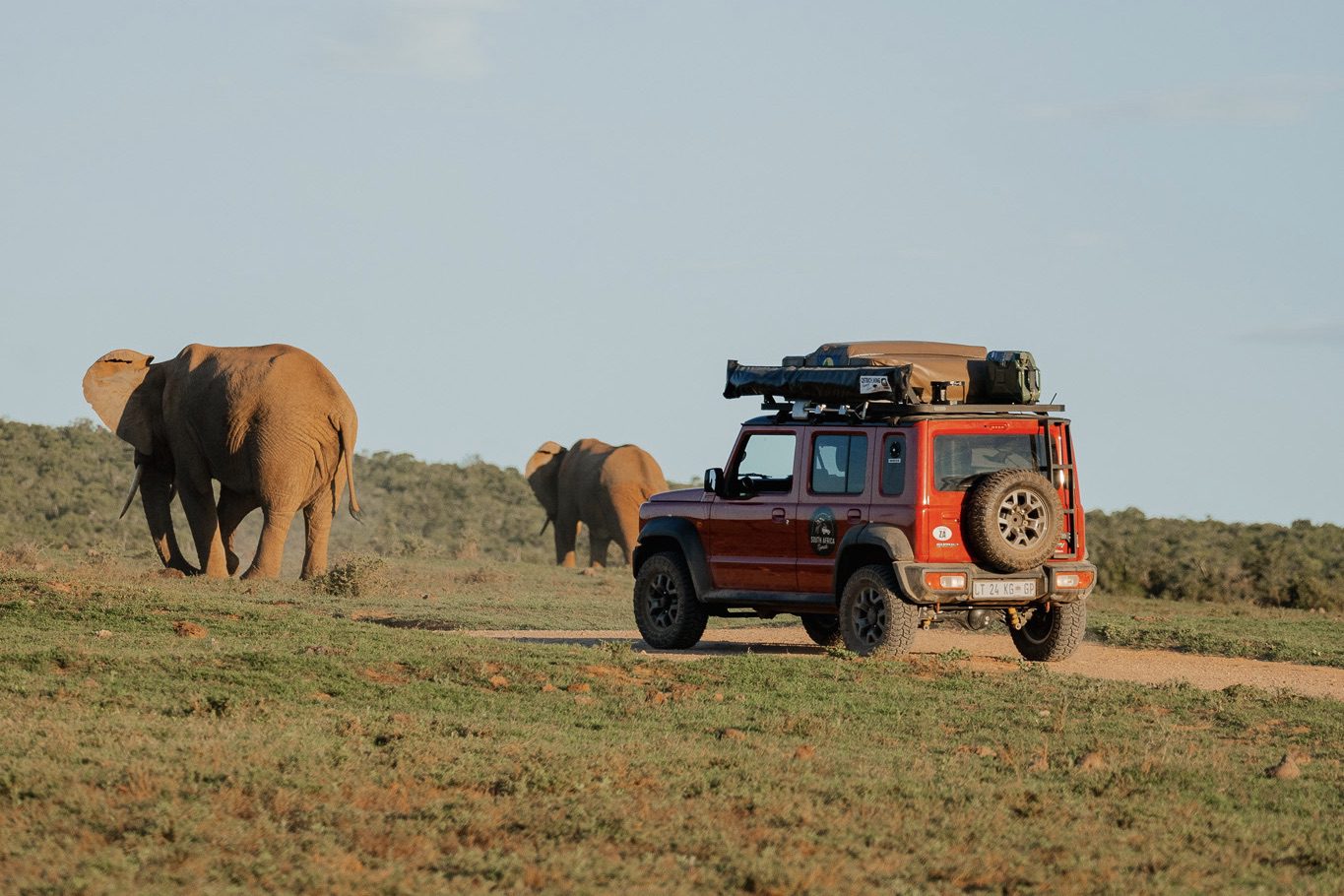 activiteiten in Zuid-Afrika