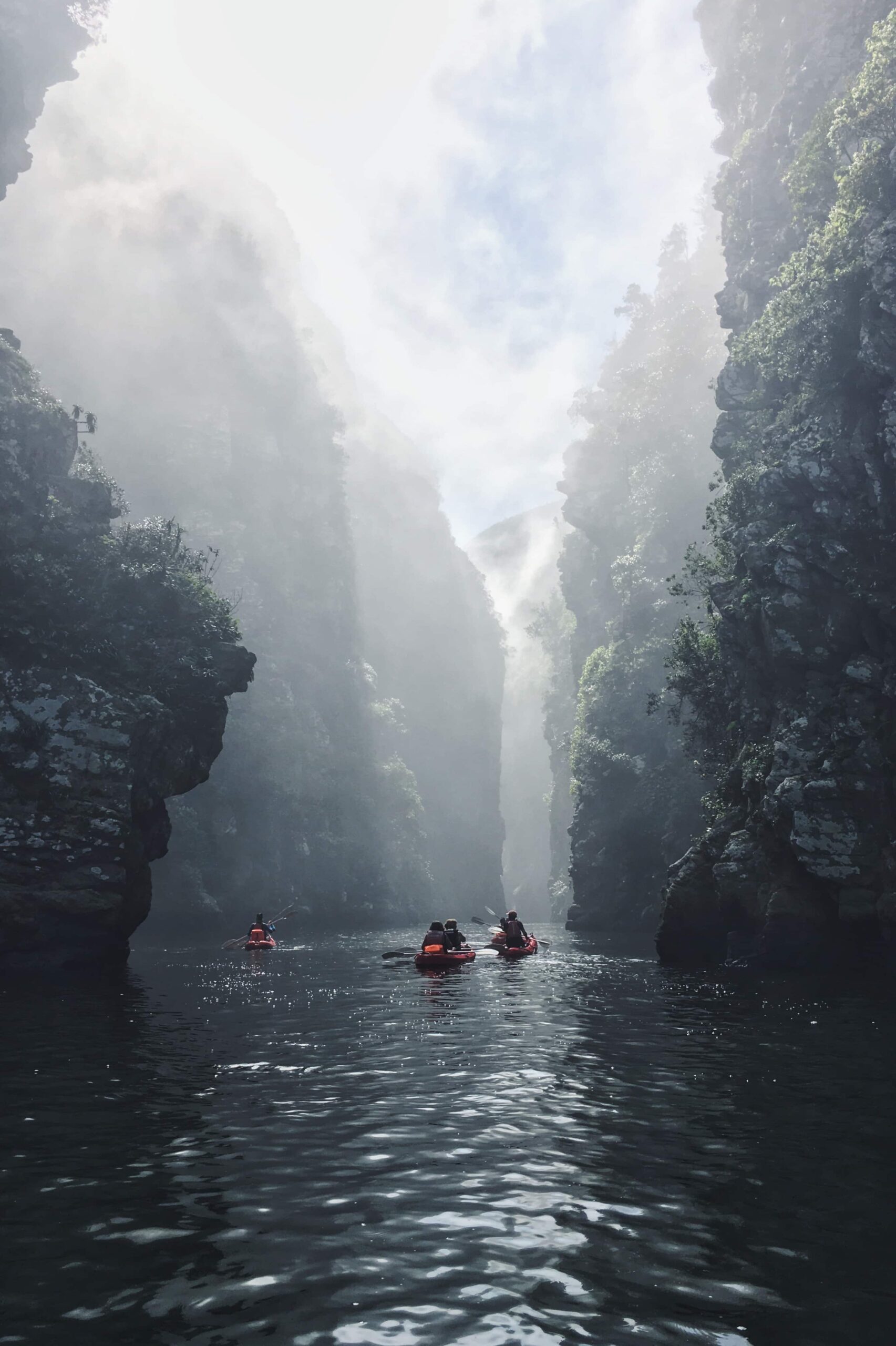 Activiteiten in Zuid-Afrika