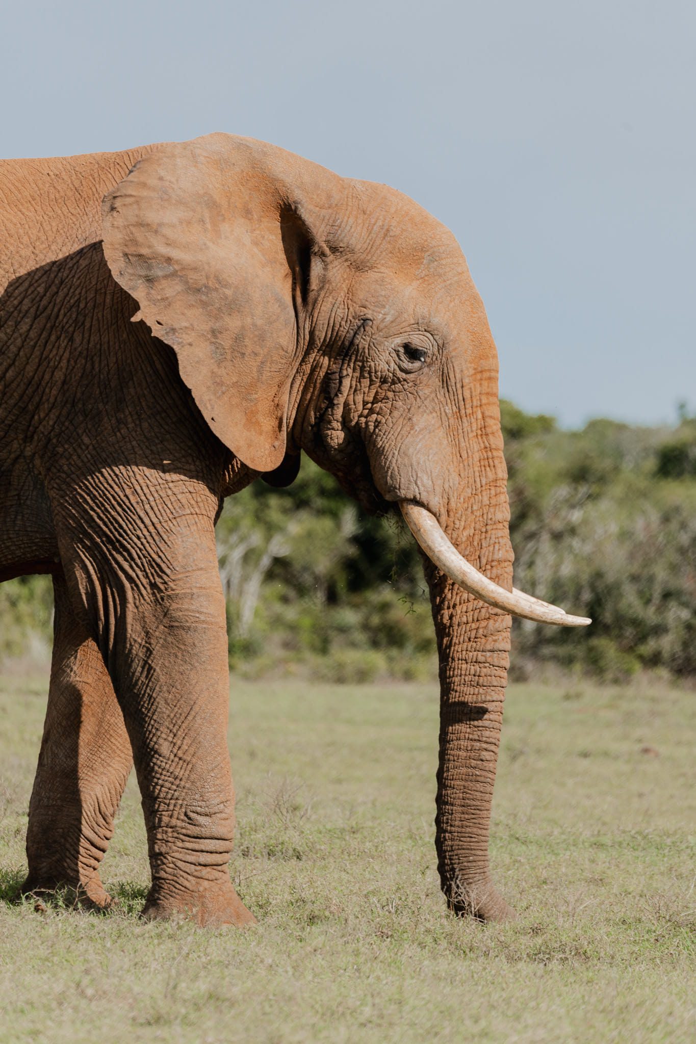 Activiteiten in Zuid-Afrika
