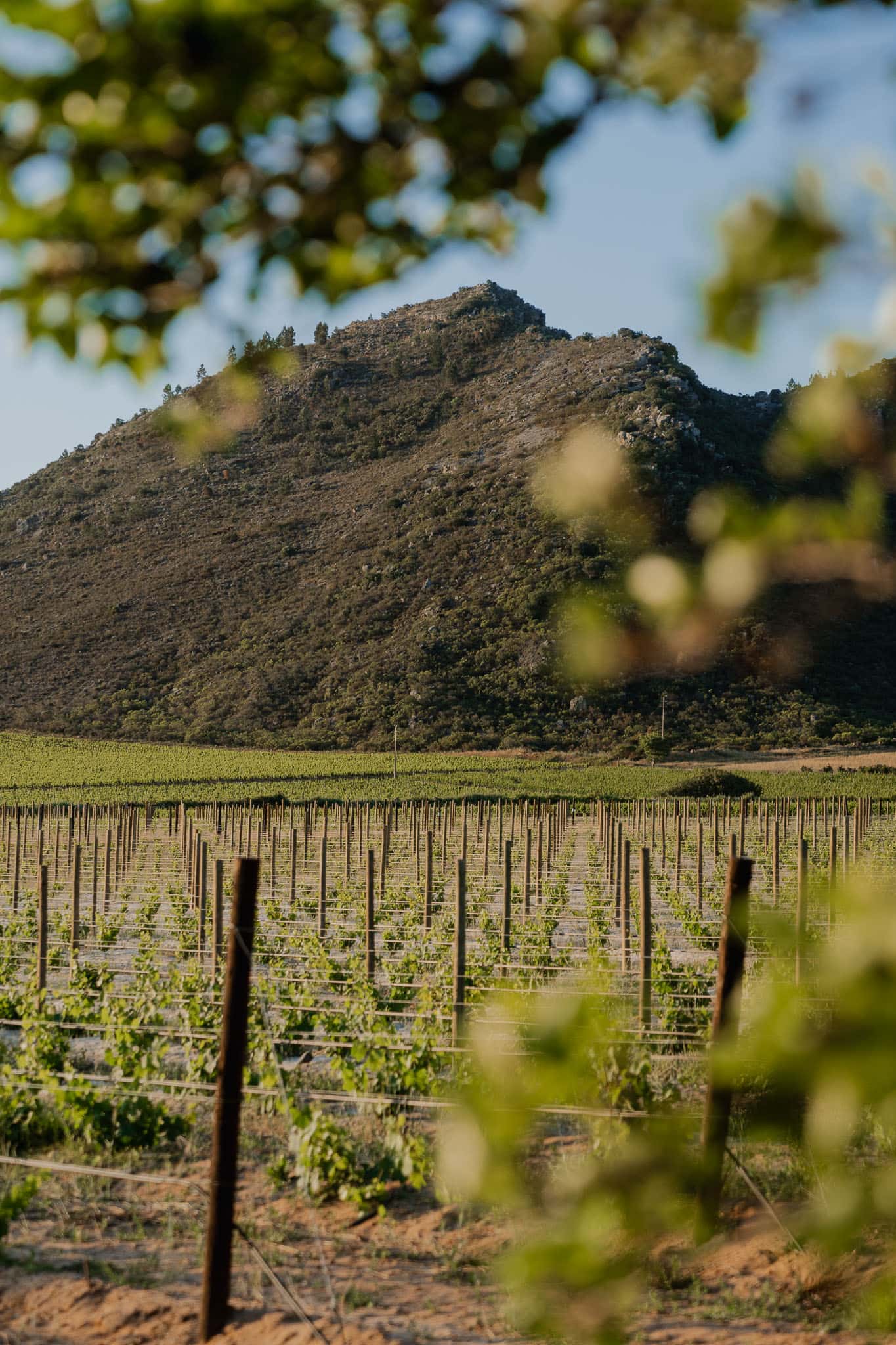 Reisroute Zuid-Afrika