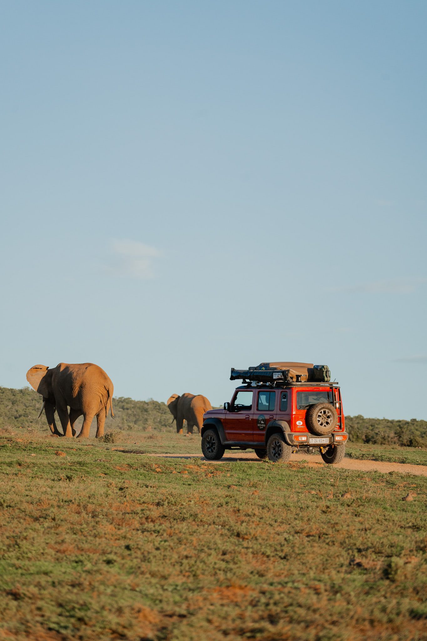Roadtrip Zuid-Afrika
