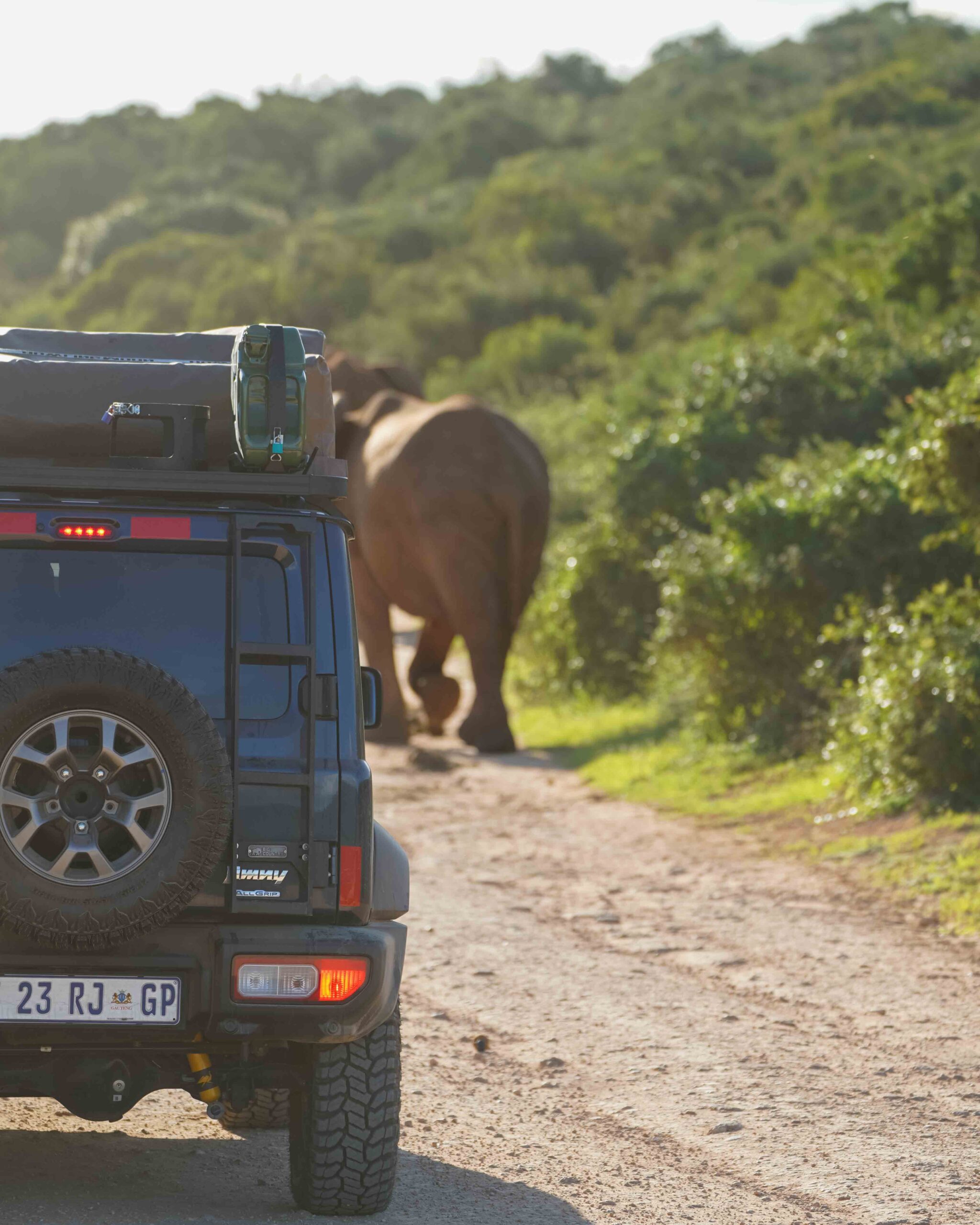 Safari in Zuid-Afrika
