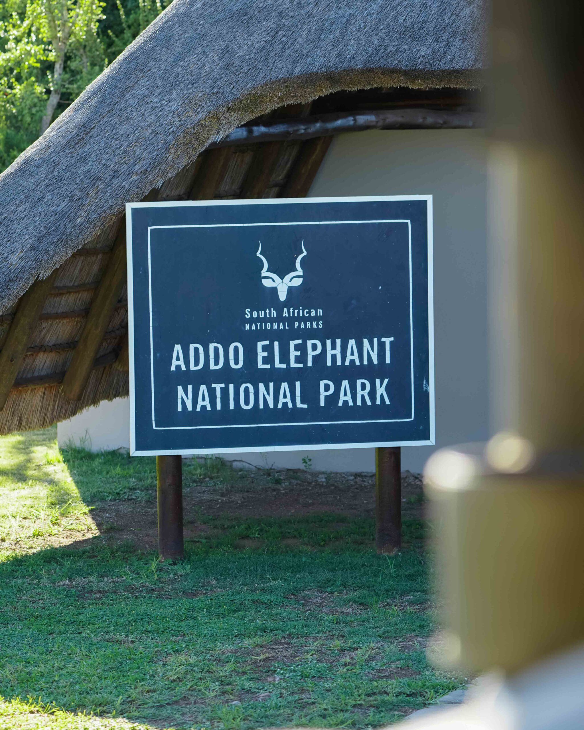 Safari in Zuid-Afrika