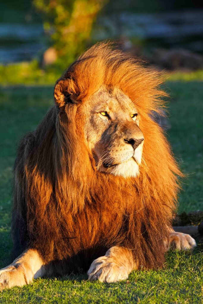 Highlights in South Africa