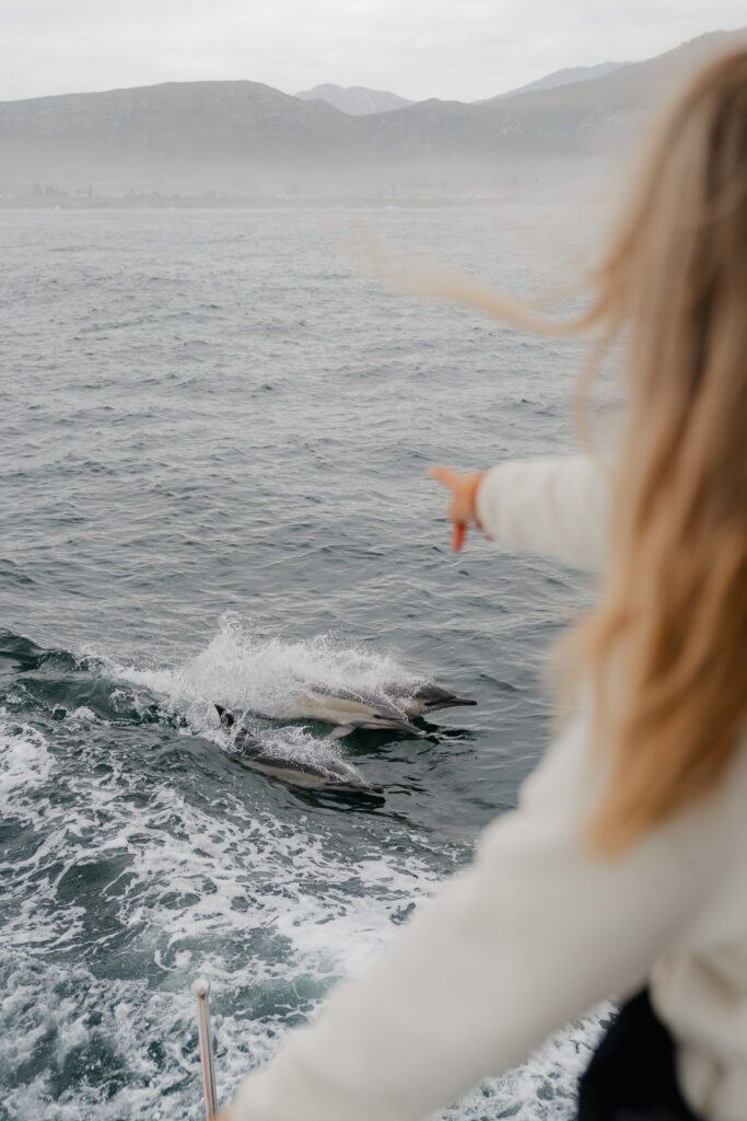 Highlights in South Africa