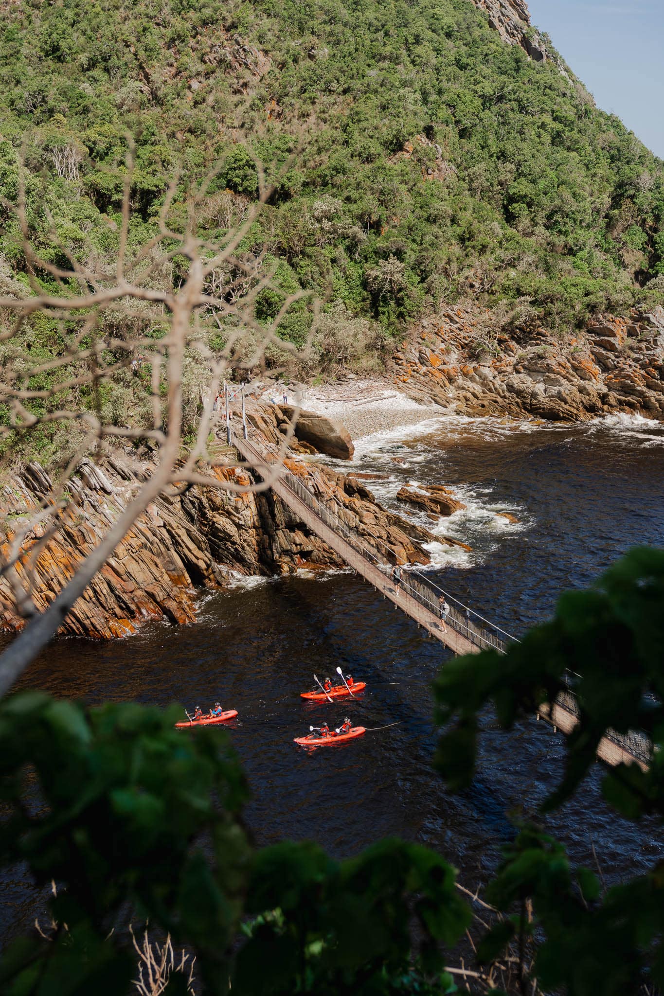 Tsitsikamma National Park