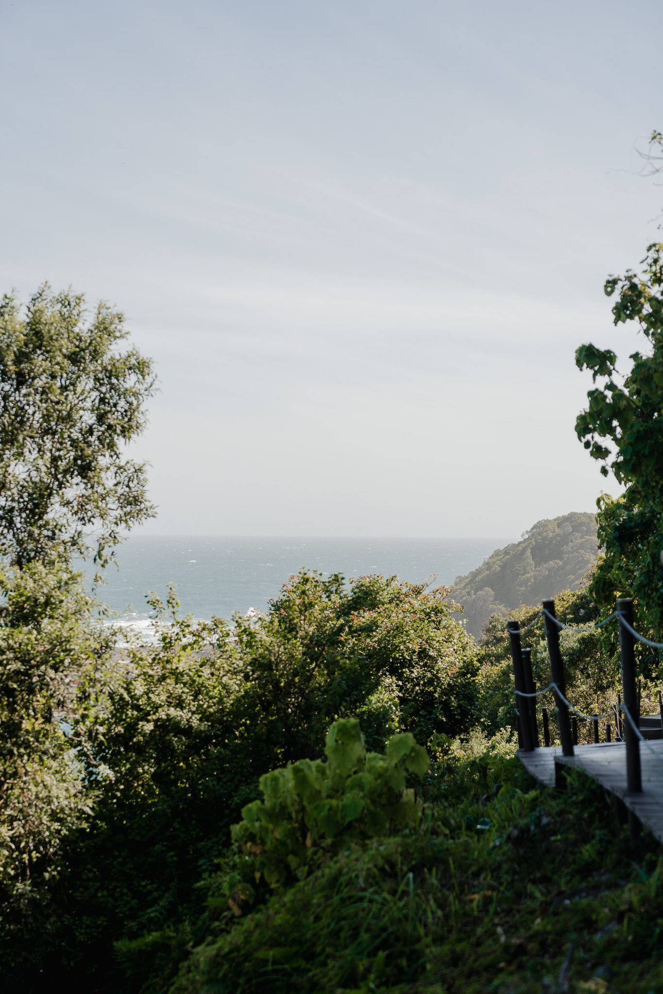 Tsitsikamma National Park