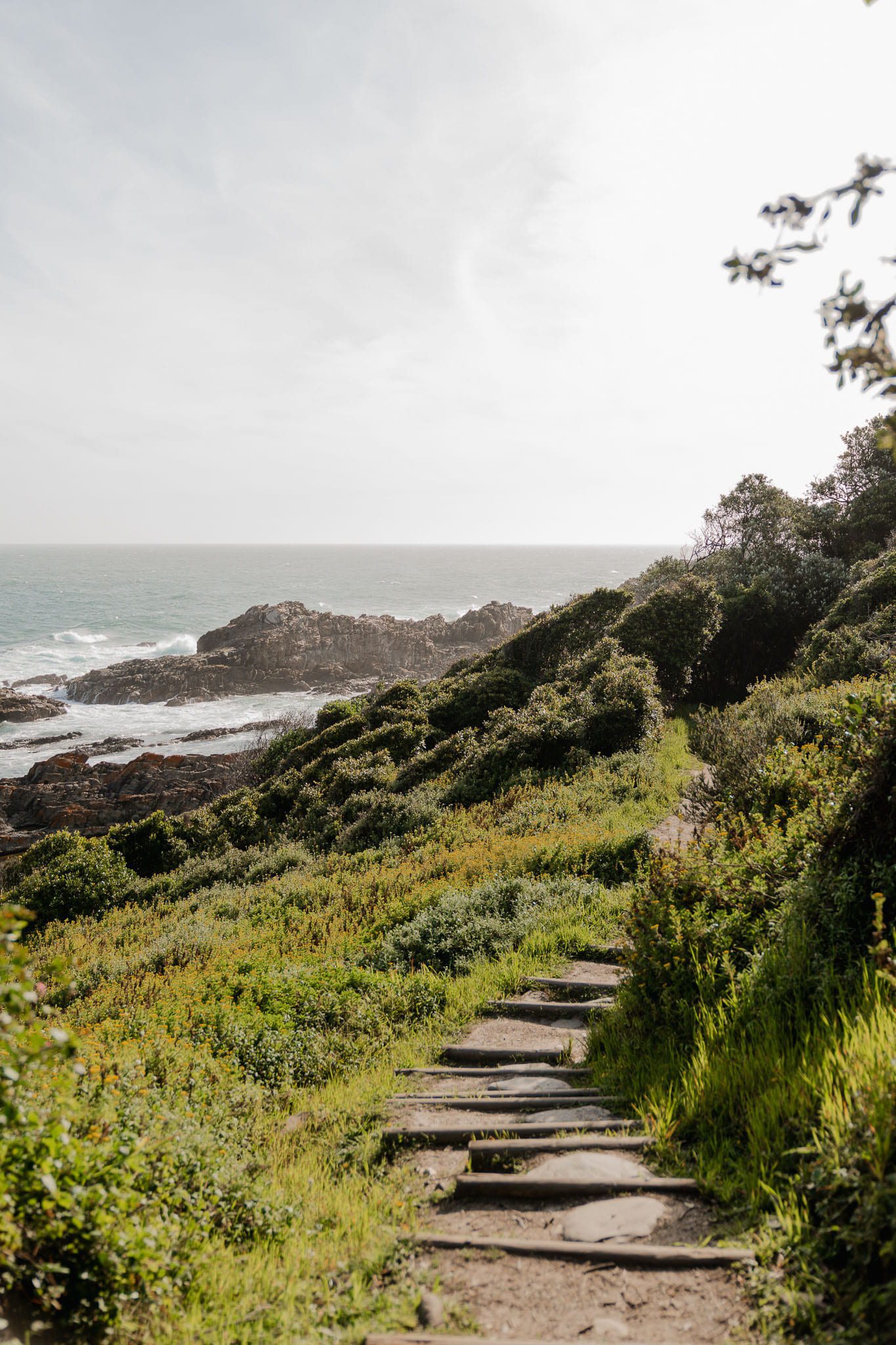Tsitsikamma National Park