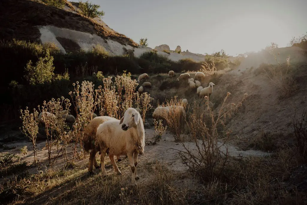 cappadocia hiking turkey Cappadocia Turkey
