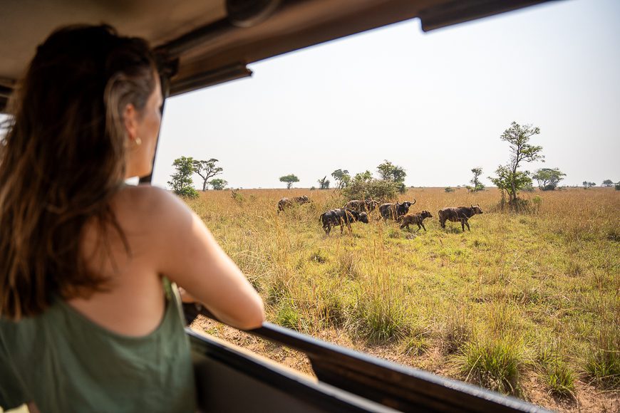 View from the car during your Uganda Nomads roadtrip