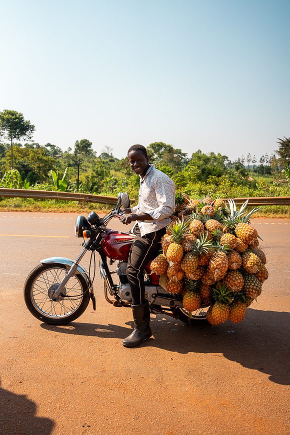 Bike in Uganda with a local who is transporting pineapples