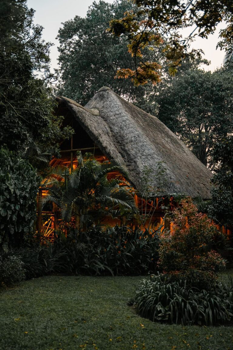 cabane dans les bois pendant votre roadtrip avec Uganda Nomads