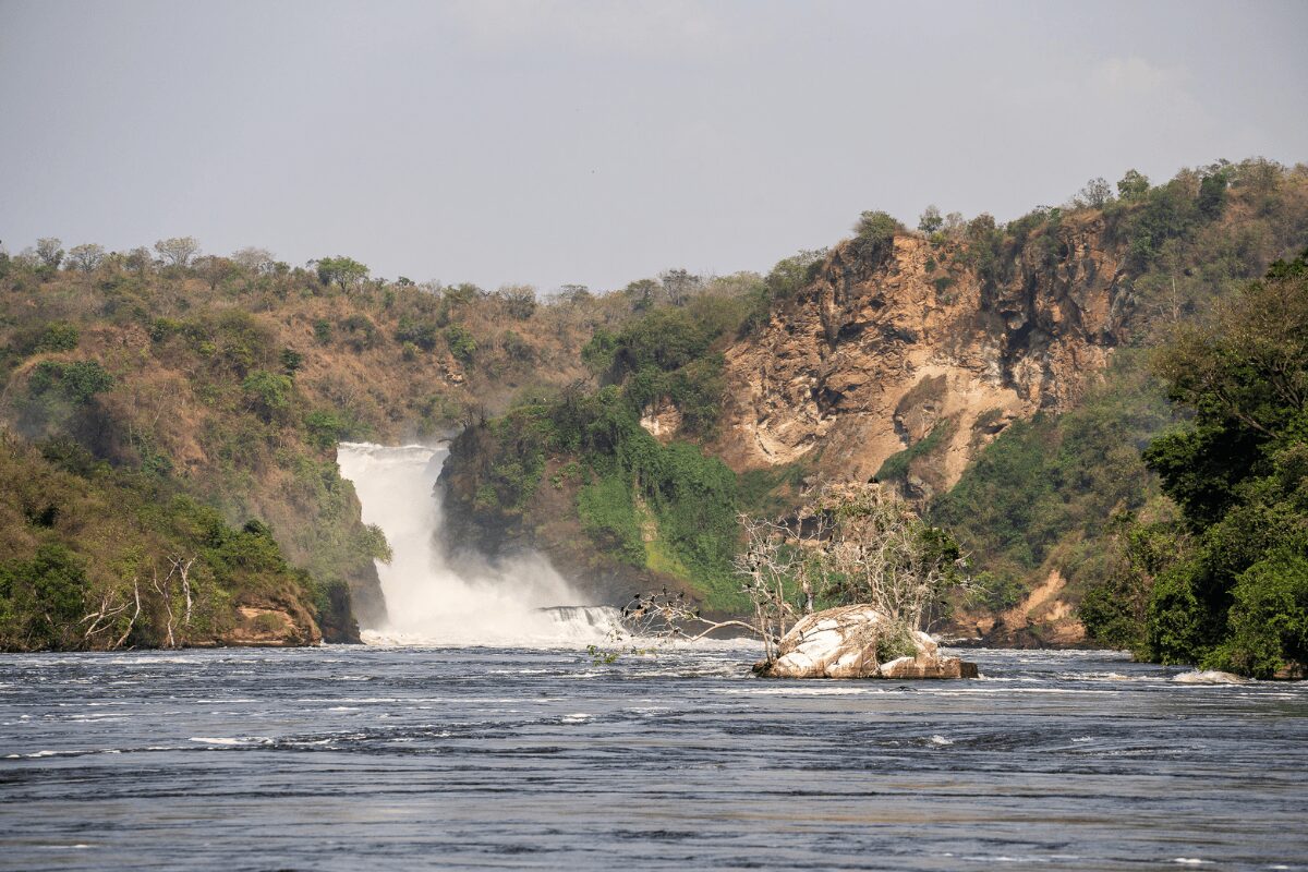 Murchison Falls National Park Uganda