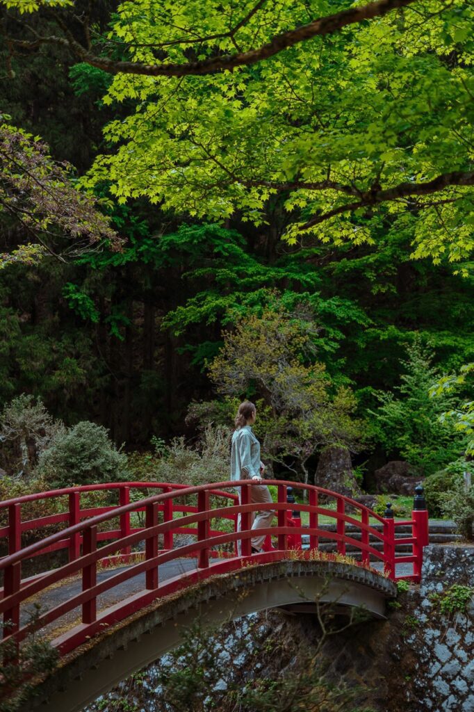 roadtrip door Japan – reizen in Japan – Japans landschap – natuur in Japan – cultuur in Japan – traditionele Japanse architectuur – Japanse tempel – streetfood in Japan – Japanse bergen – reizen met de auto in Japan – lokale ervaringen Japan – authentiek Japan – verborgen plekken Japan – Japanse stad – landelijke Japan – Japan in de herfst – Japan in de lente – avontuurlijke reis Japan – uitzicht in Japan – Japan Nomads reis