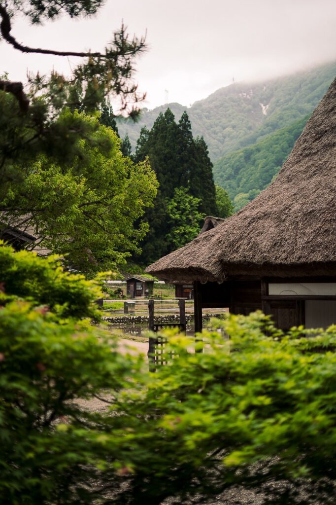 roadtrip door Japan – reizen in Japan – Japans landschap – natuur in Japan – cultuur in Japan – traditionele Japanse architectuur – Japanse tempel – streetfood in Japan – Japanse bergen – reizen met de auto in Japan – lokale ervaringen Japan – authentiek Japan – verborgen plekken Japan – Japanse stad – landelijke Japan – Japan in de herfst – Japan in de lente – avontuurlijke reis Japan – uitzicht in Japan – Japan Nomads reis