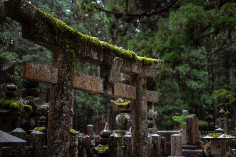 roadtrip door Japan – reizen in Japan – Japans landschap – natuur in Japan – cultuur in Japan – traditionele Japanse architectuur – Japanse tempel – streetfood in Japan – Japanse bergen – reizen met de auto in Japan – lokale ervaringen Japan – authentiek Japan – verborgen plekken Japan – Japanse stad – landelijke Japan – Japan in de herfst – Japan in de lente – avontuurlijke reis Japan – uitzicht in Japan – Japan Nomads reis