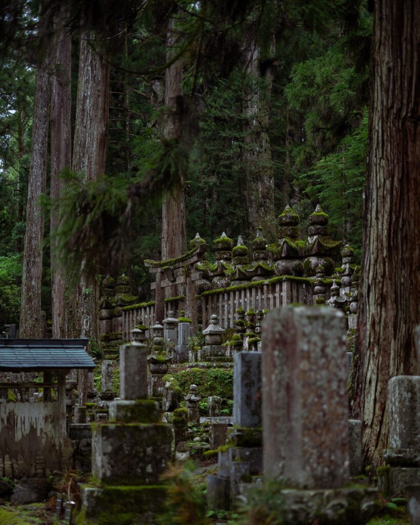 roadtrip door Japan – reizen in Japan – Japans landschap – natuur in Japan – cultuur in Japan – traditionele Japanse architectuur – Japanse tempel – streetfood in Japan – Japanse bergen – reizen met de auto in Japan – lokale ervaringen Japan – authentiek Japan – verborgen plekken Japan – Japanse stad – landelijke Japan – Japan in de herfst – Japan in de lente – avontuurlijke reis Japan – uitzicht in Japan – Japan Nomads reis