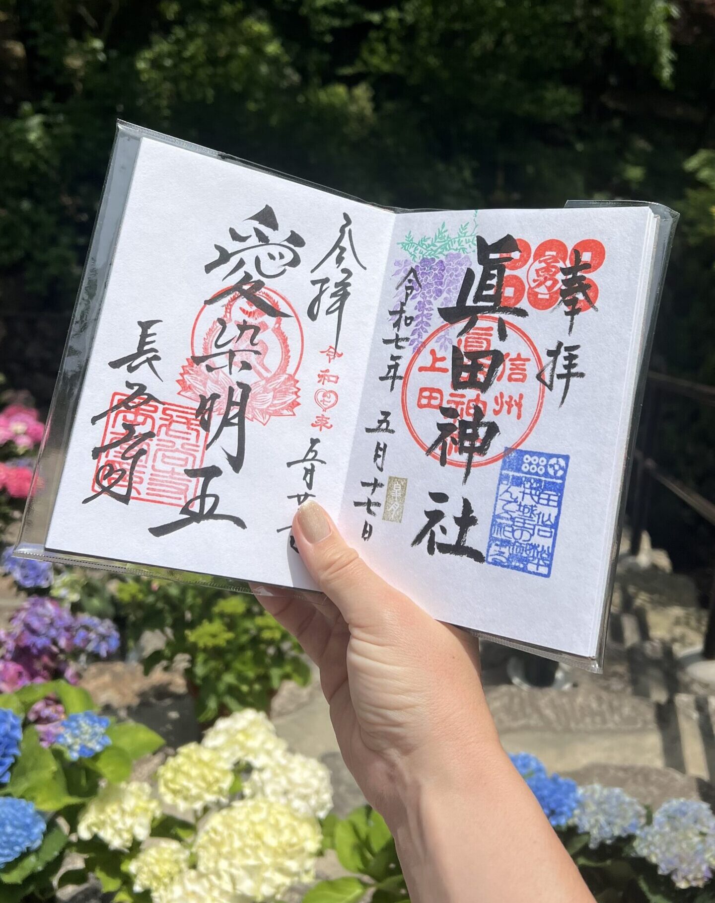 Japan Nomads - Japan roadtrip - Japan rondreis - Japan autoreis - Reis Japan