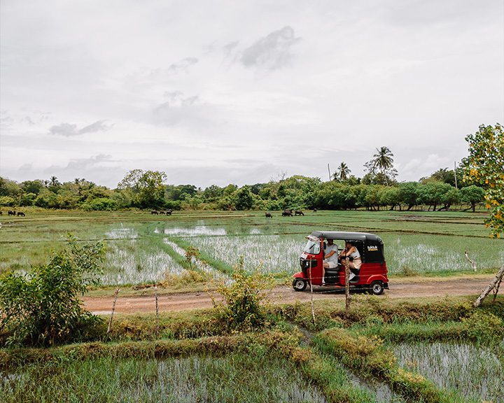 Met de tuktuk in Sri Lanka langs theeplantages