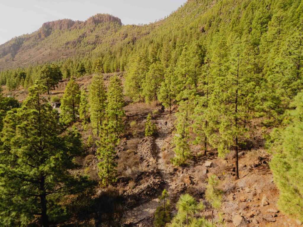 Trekking in Gran Canaria