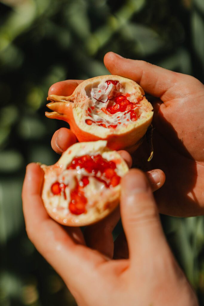 Nature in Gran Canaria