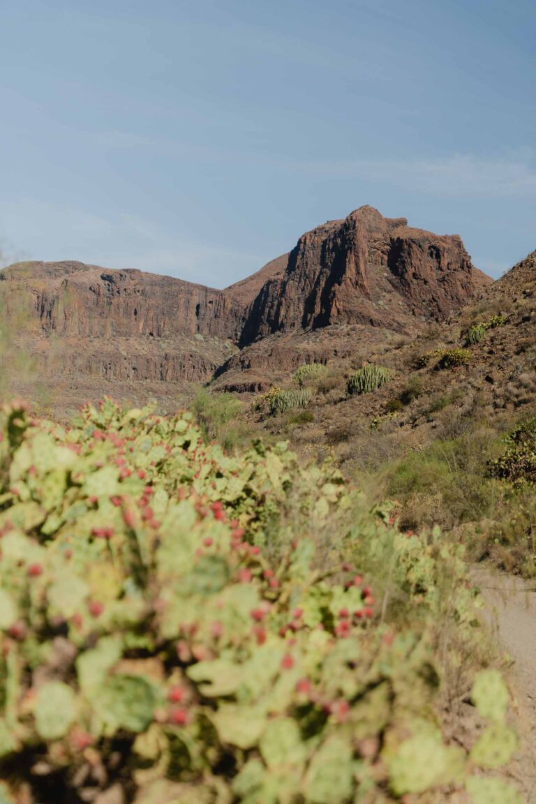San Bartolomé de Tirajana in Gran Canaria