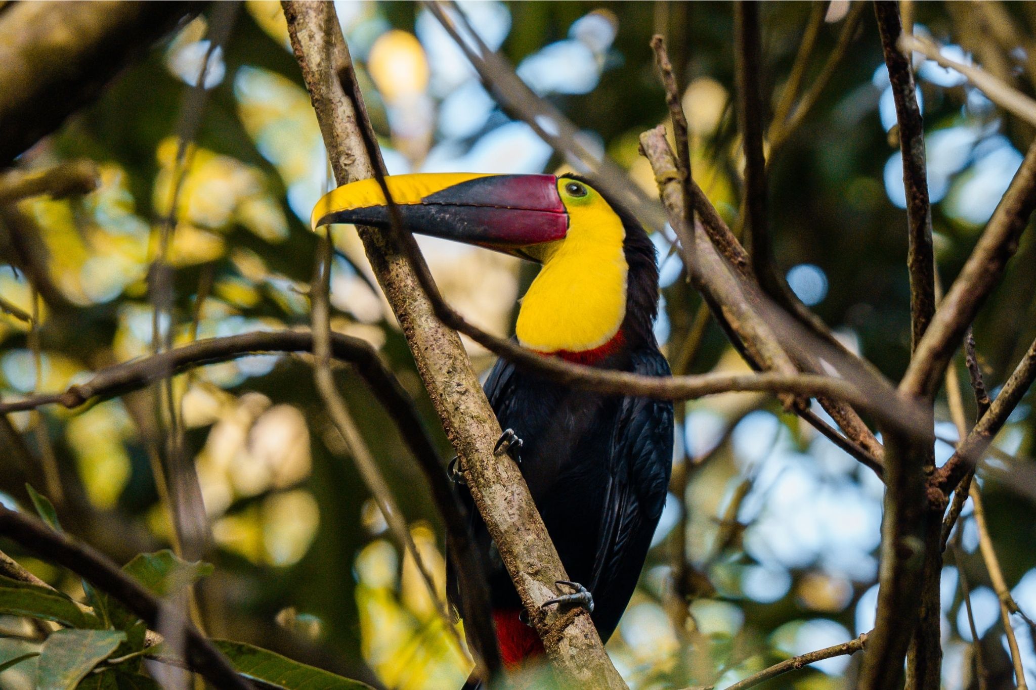 Costa Rica Nomads - Roadtrip Costa Rica - Rondreis Costa Rica - 4x4 Costa Rica - Autoreis Costa Rica - Twee weken Costa Rica