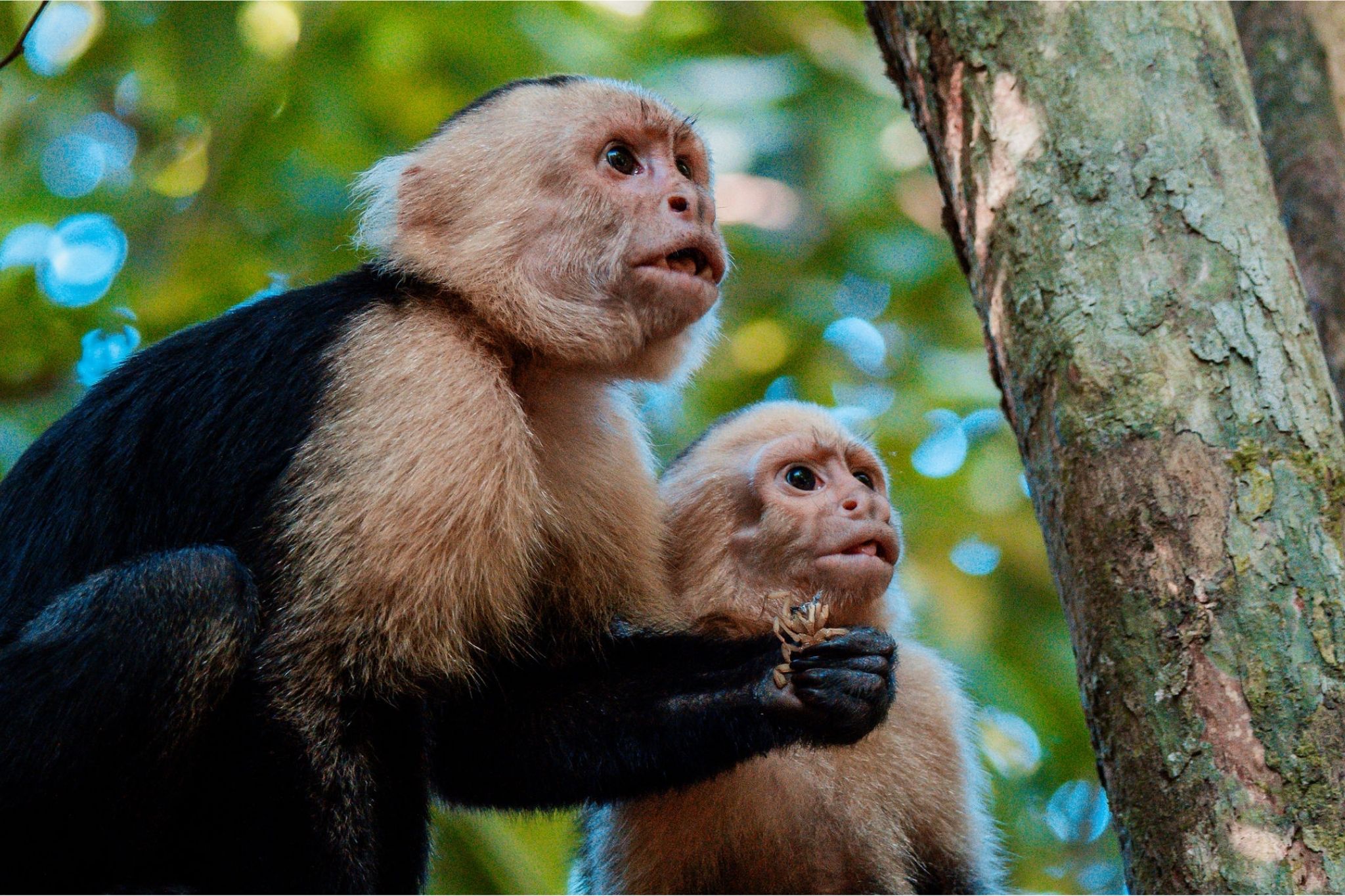 Costa Rica Nomads - Roadtrip Costa Rica - Rondreis Costa Rica - 4x4 Costa Rica - Autoreis Costa Rica - Twee weken Costa Rica