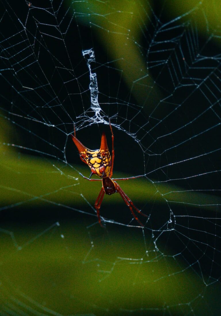 Costa Rica roadtrip - twee weken tour Costa Rica - Costa Rica Nomads