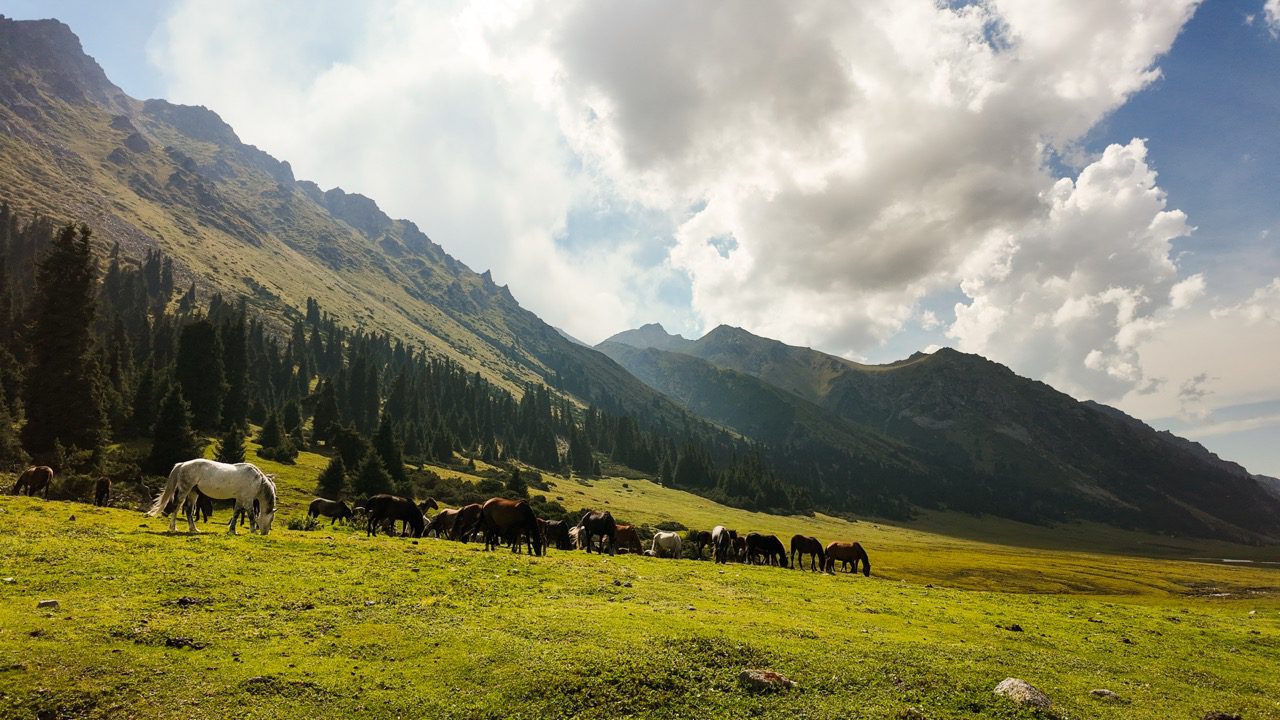 Kirgizië Trail Wandelen