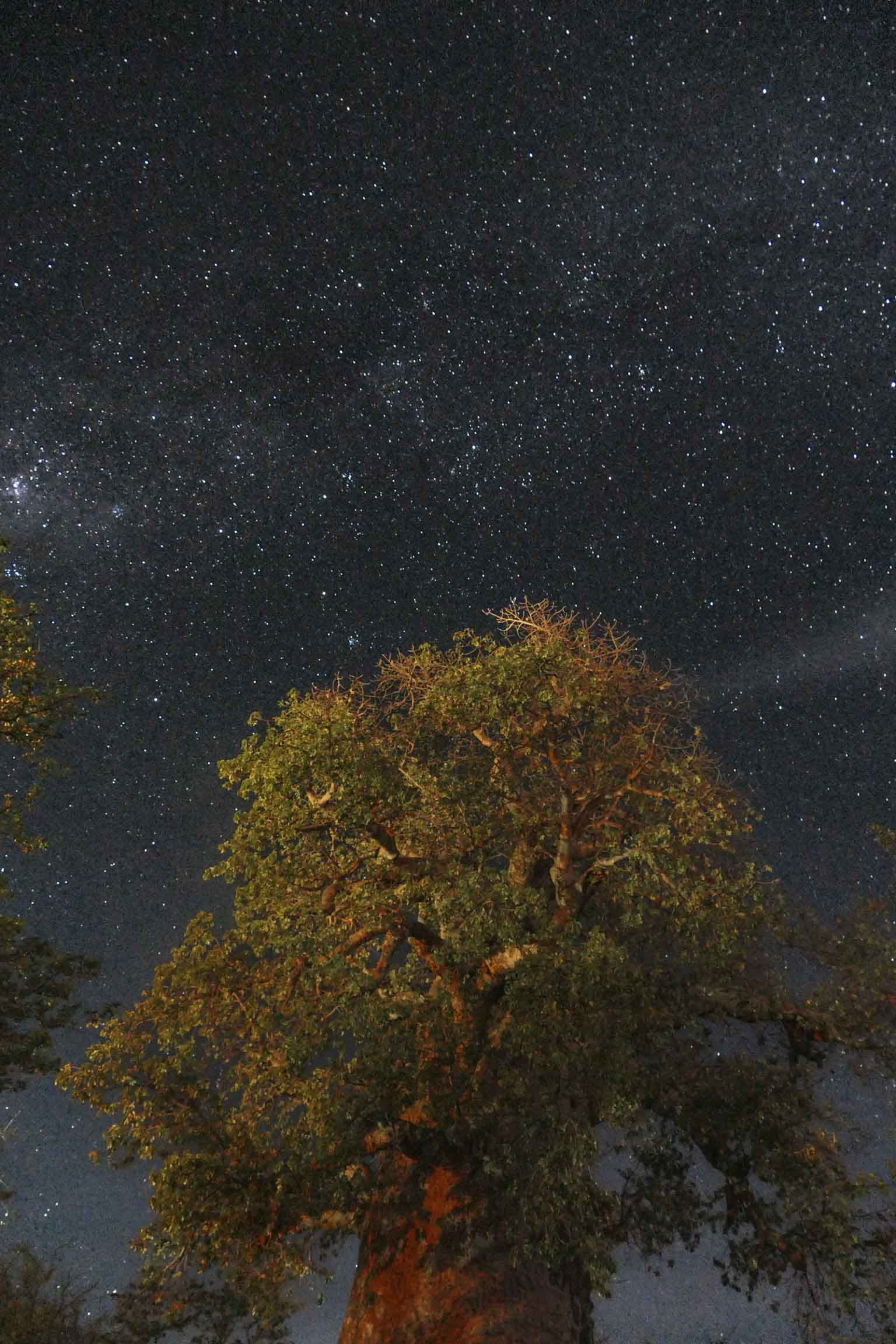 Stars in Makgadikgadi Pans
