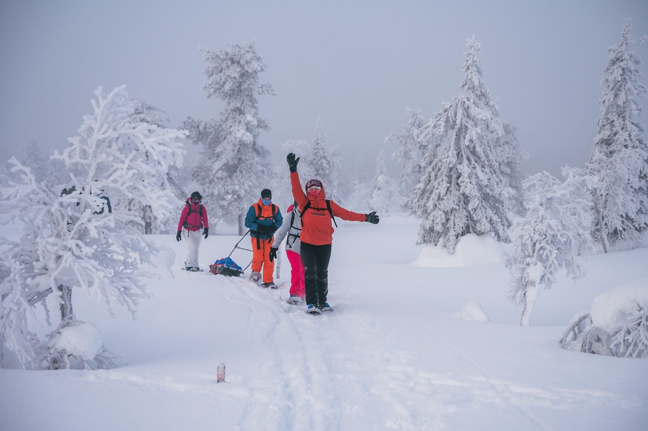 Randonnées en raquettes en groupe en Laponie