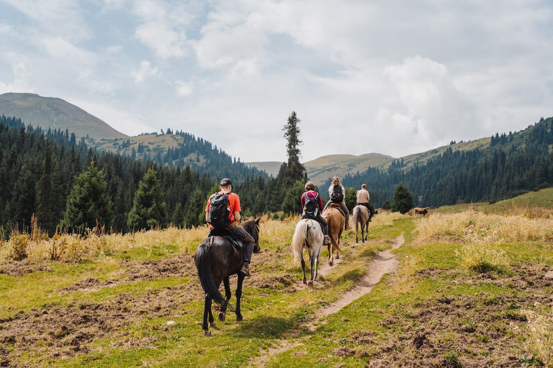 Voyage en groupe et activités à cheval