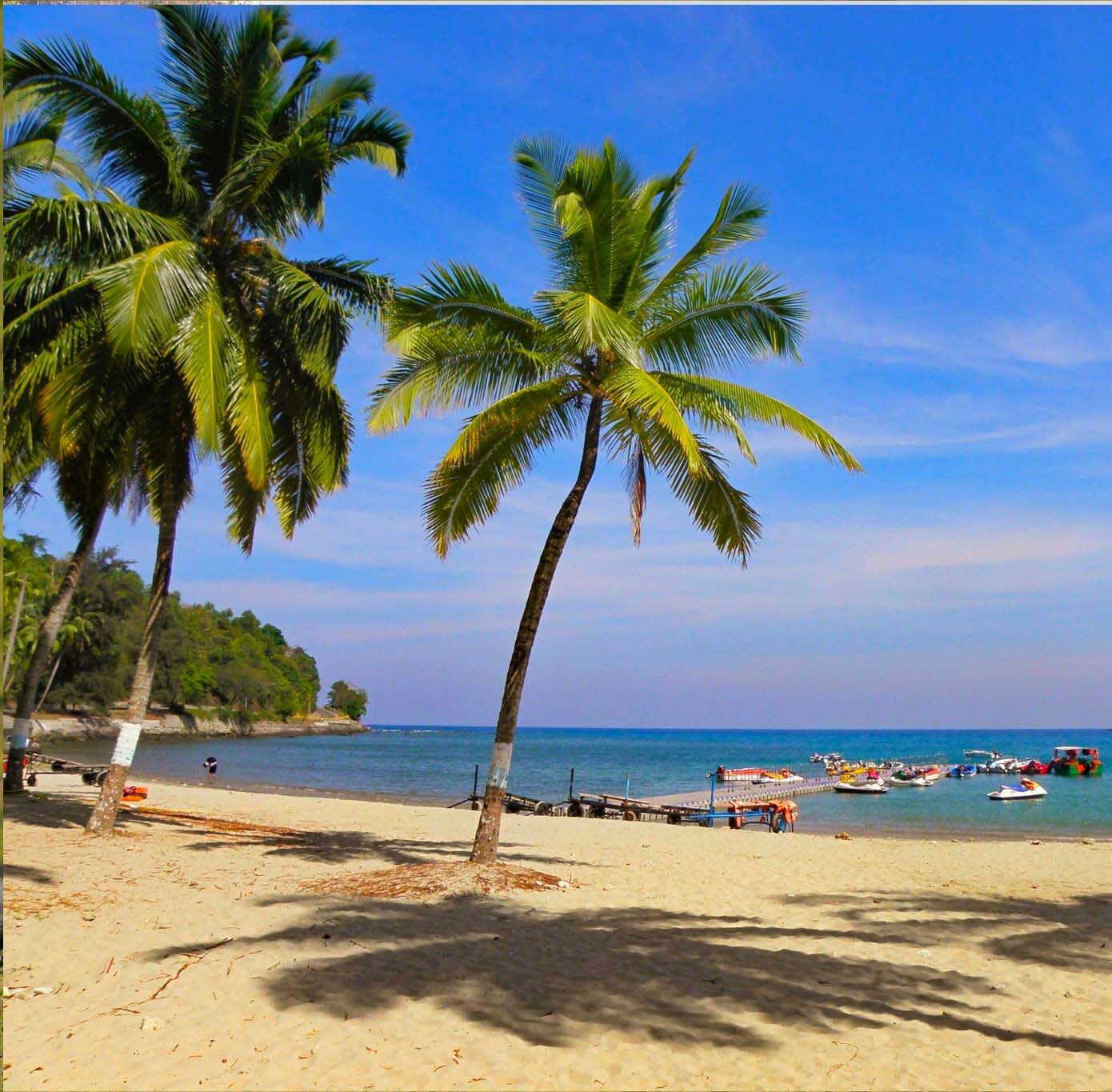 palmier, plage Madagascar, Ifaty