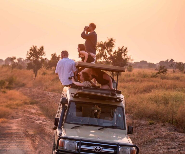 Safari en Ouganda : groupe de voyageurs dans un 4x4 observant la faune environnante avec un coucher de soleil