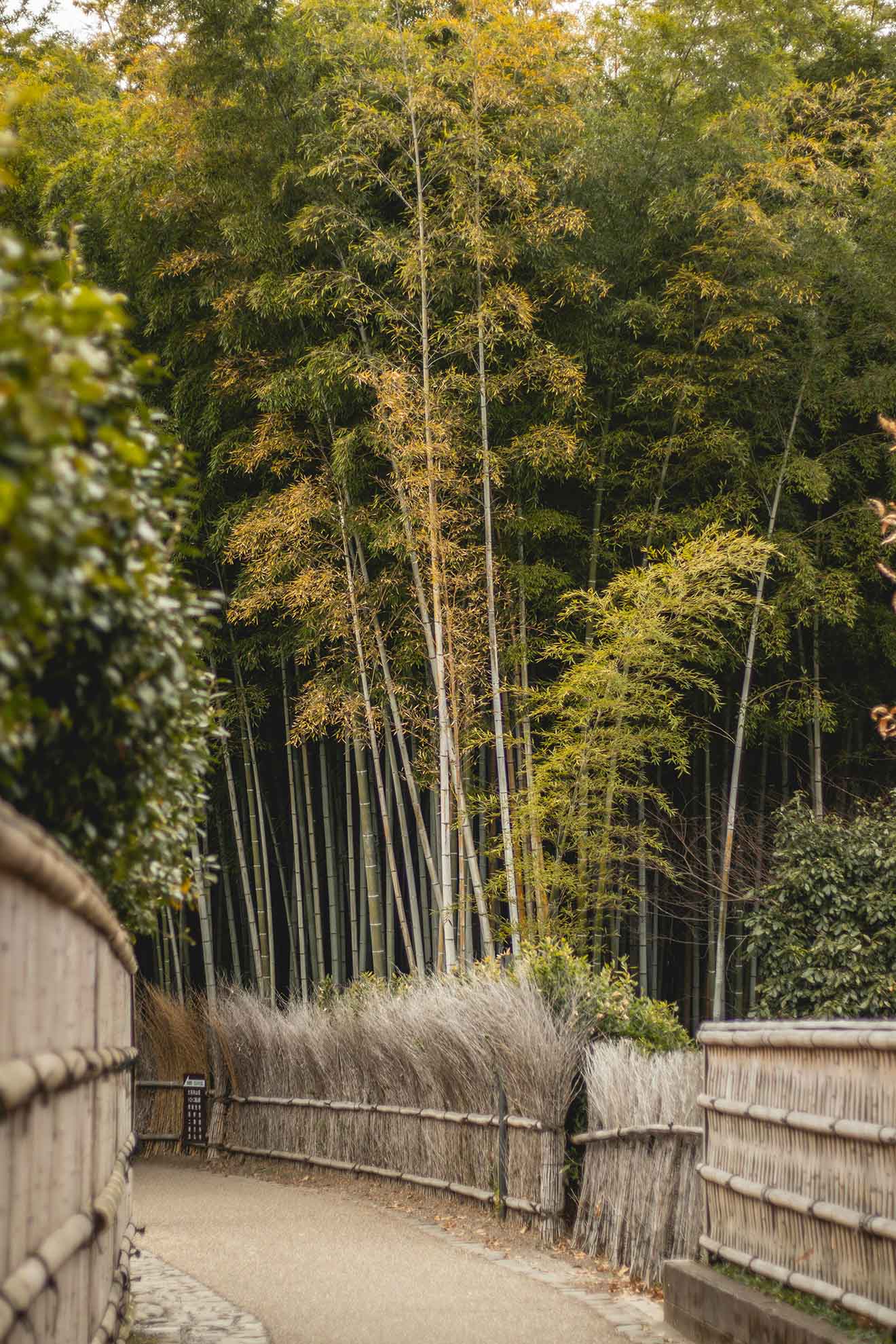 Bambouseraie kyoto