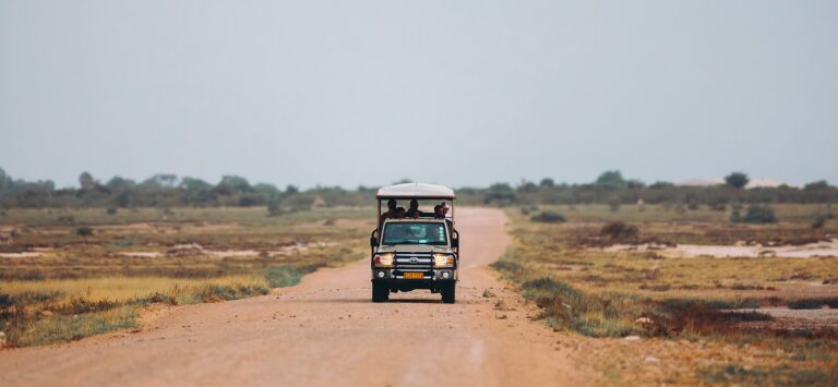 4x4 dans le désert lors d'un road trip en Namibie