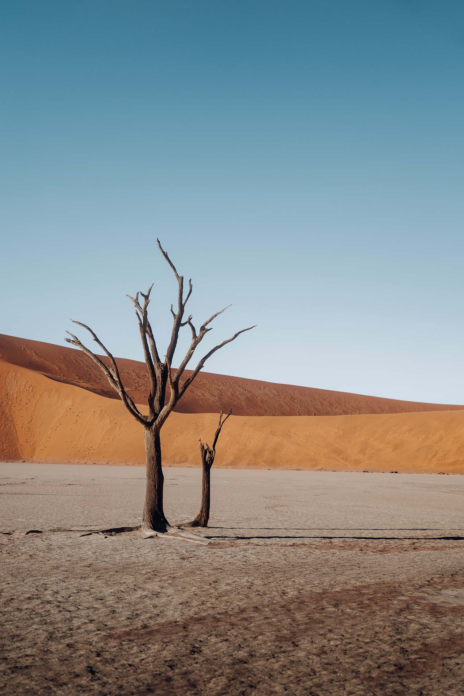 Deadvlei in Namibia