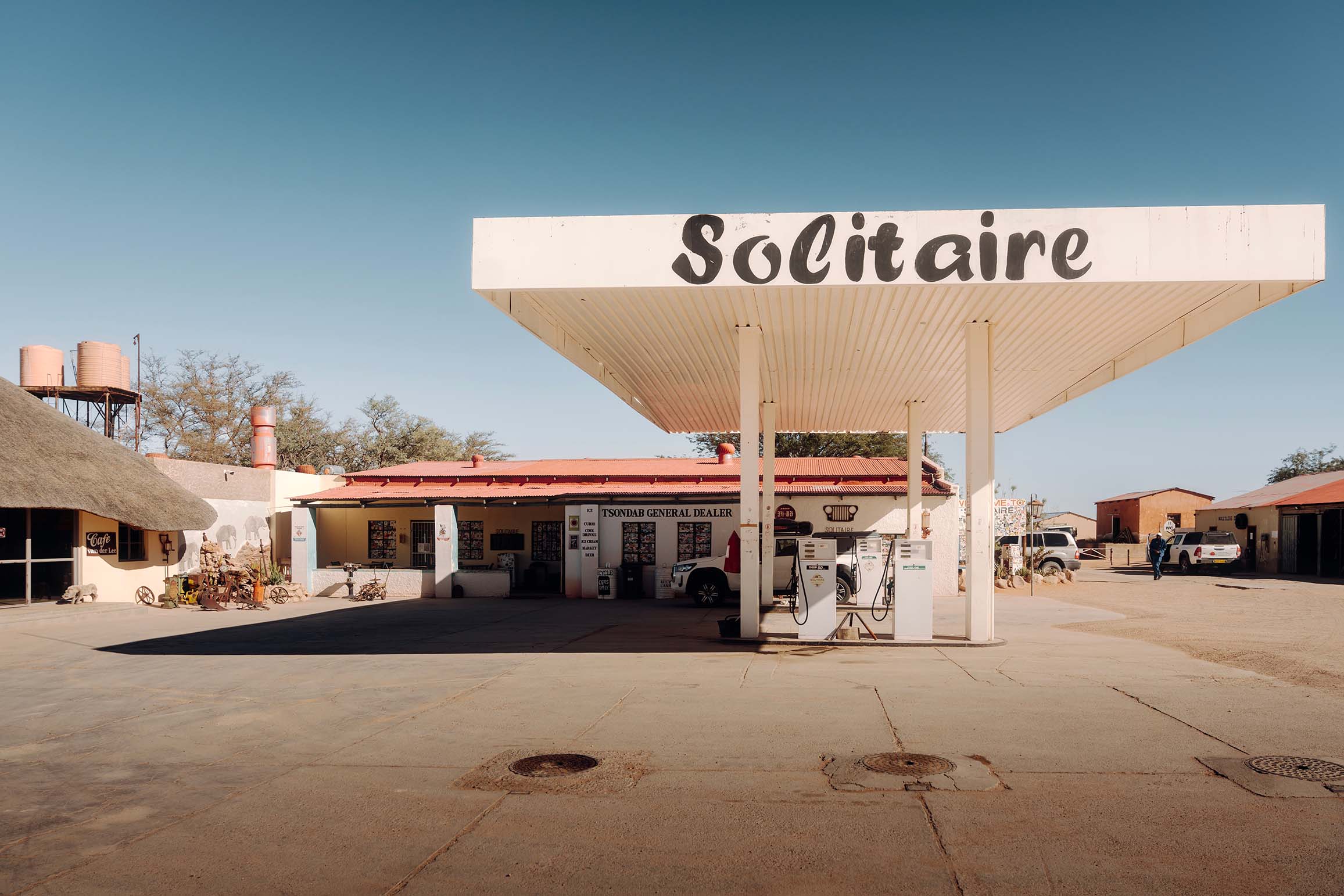 le solitaire en Namibie