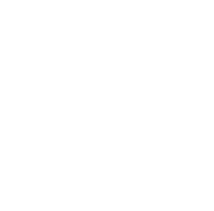 Georgia Nomads logo