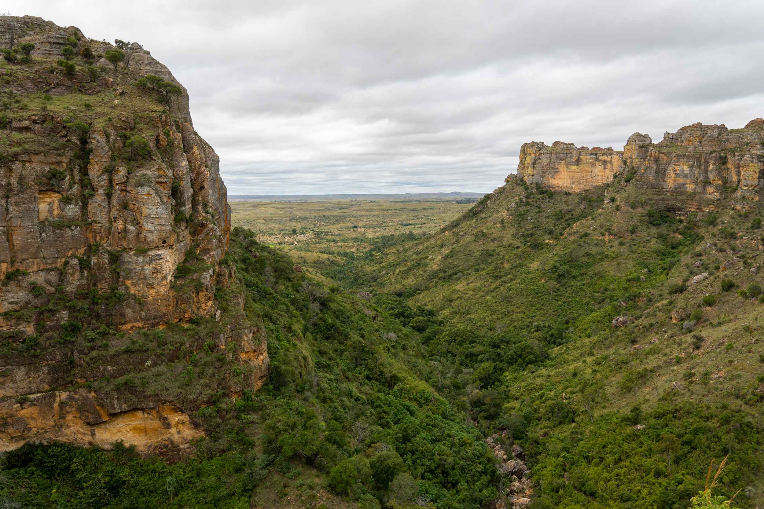 Canyon vert
