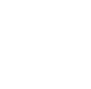 Madagascar Nomads logo