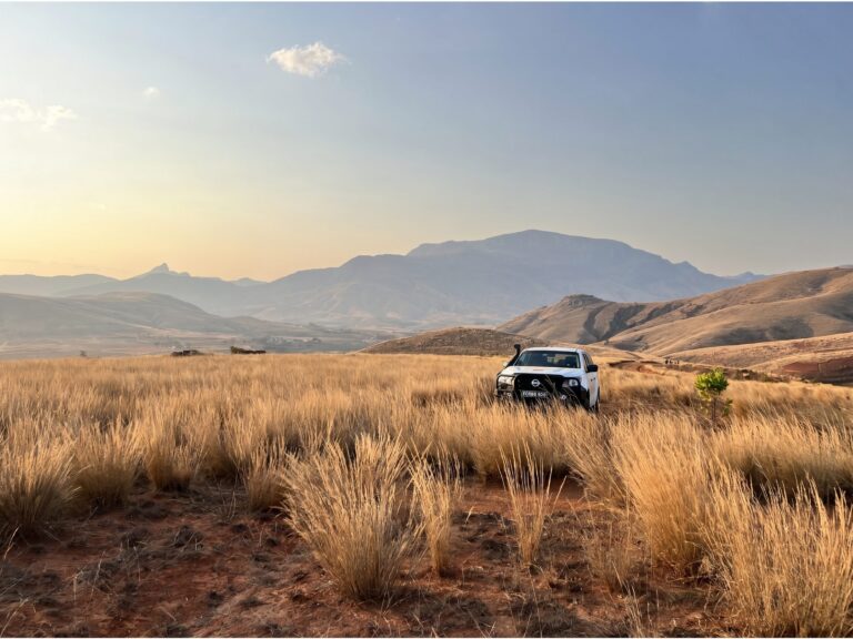 4x4 dans un paysage avec des hautes herbes
