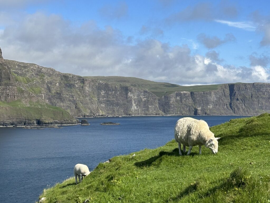 Scotland Round Trip: 8-day tour from the travel specialist