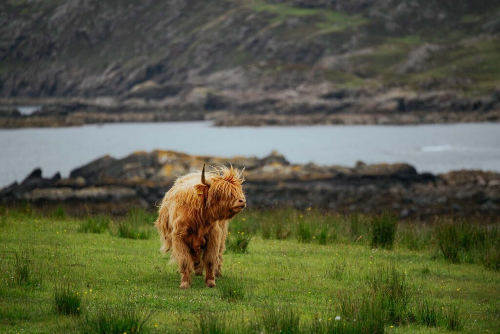 Scotland Round Trip: 8-day tour from the travel specialist