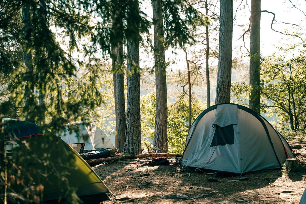 wildkamperen