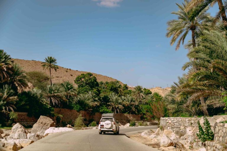 Landscape in Oman with palm trees