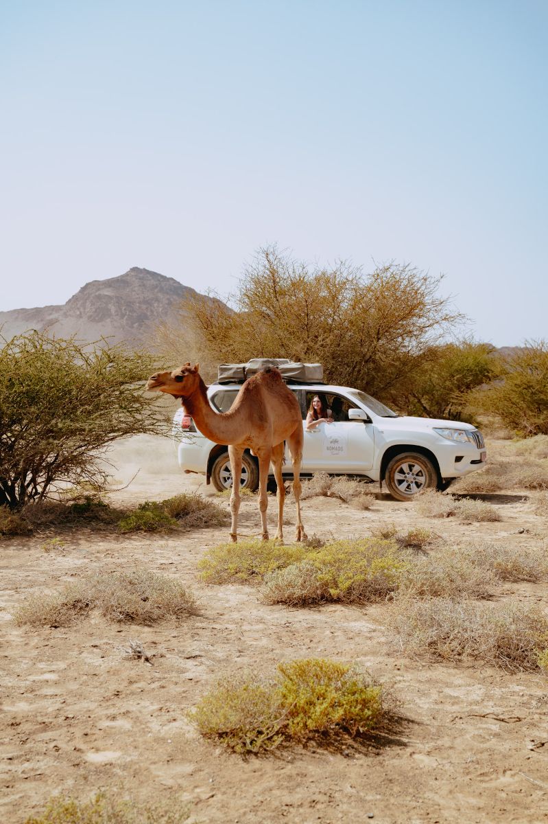 voiture dans le désert à oman