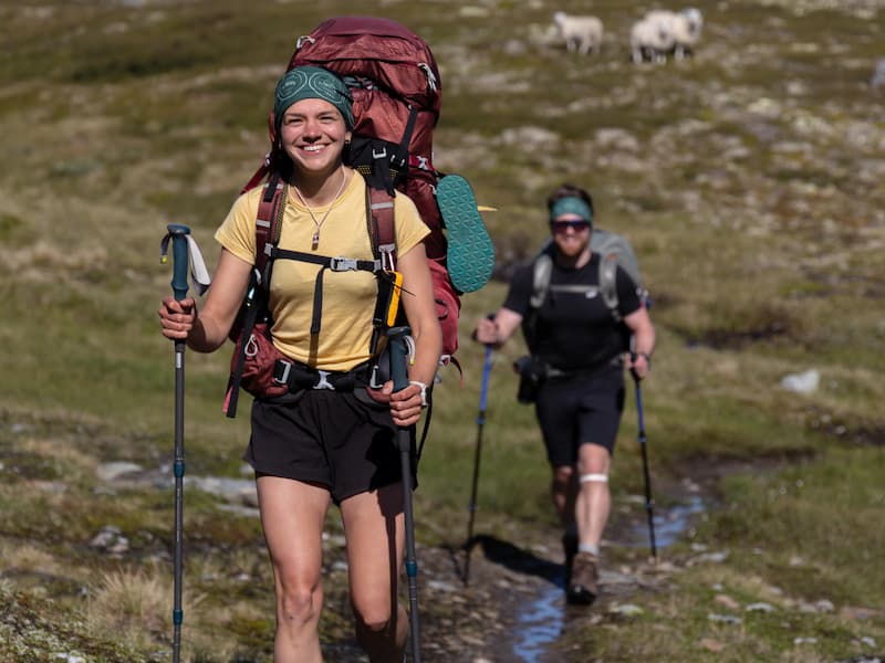 Wandern Norwegen Hardangervidda